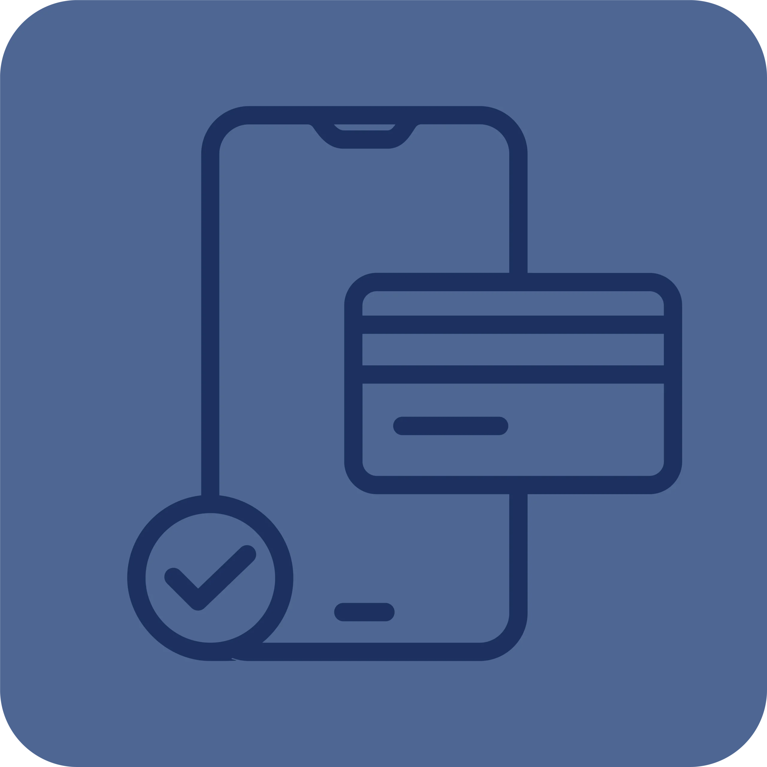 Online Payment